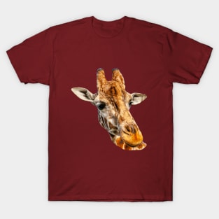 Giraffe The Look T-Shirt